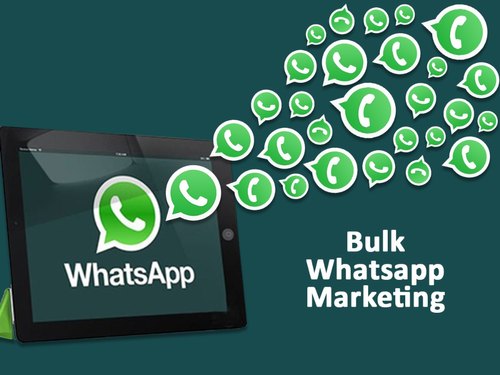 WhatsApp API Service Provider